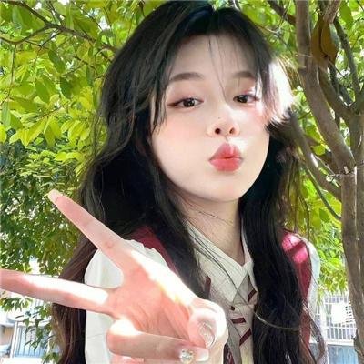 金刚之子